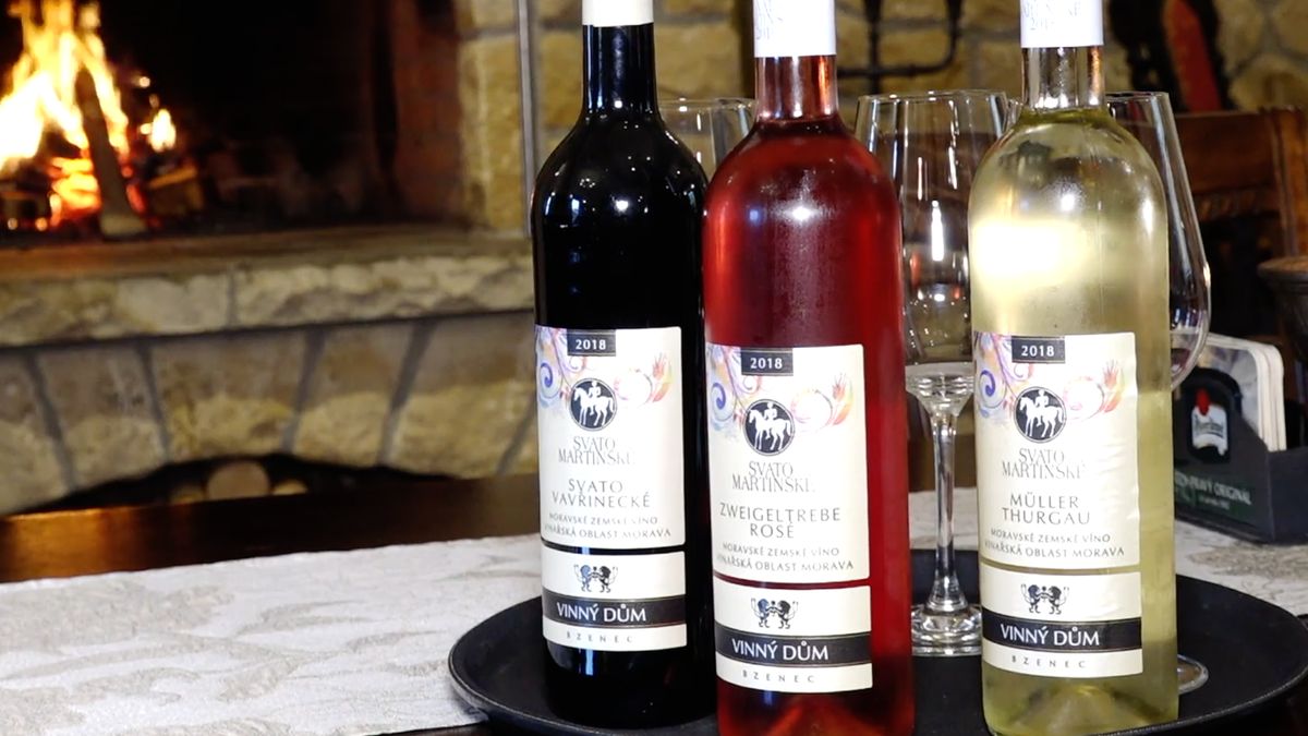 Svatomartinských vín bude letos 312 druhů od 74 vinařství